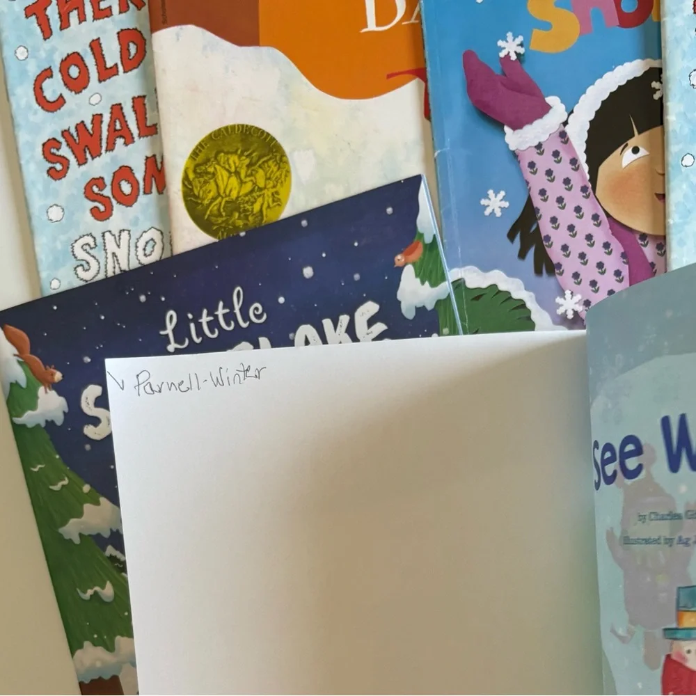 Children's Winter Storybook Collection (4)